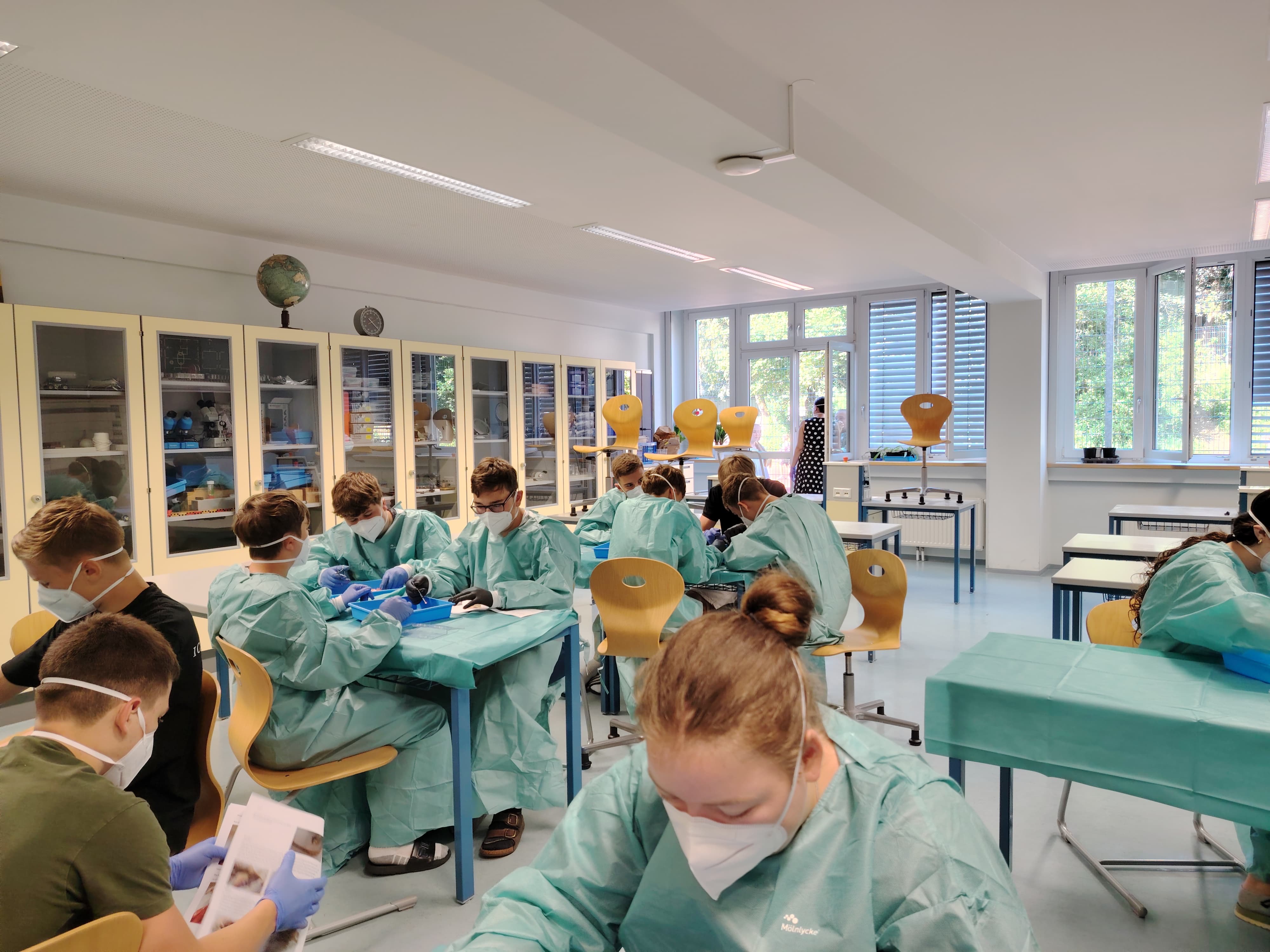 Sezieren von Ratten im BUB-Unterricht