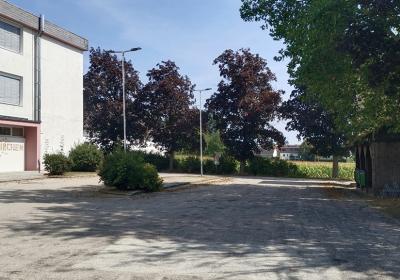 Img 20240823 115024